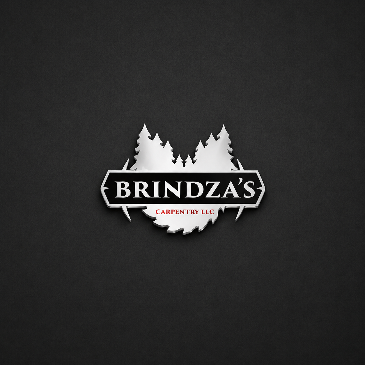 Brindza's Caprtentry LLC